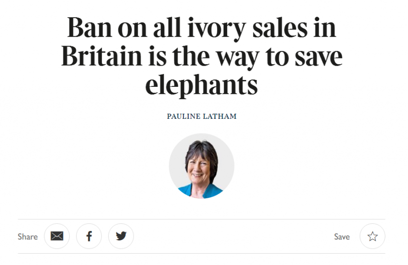 Pauline Latham OBE MP calls for stricter legislation on UK ivory trade